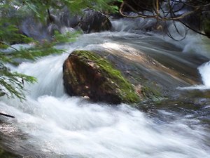 About Counselling. My nature